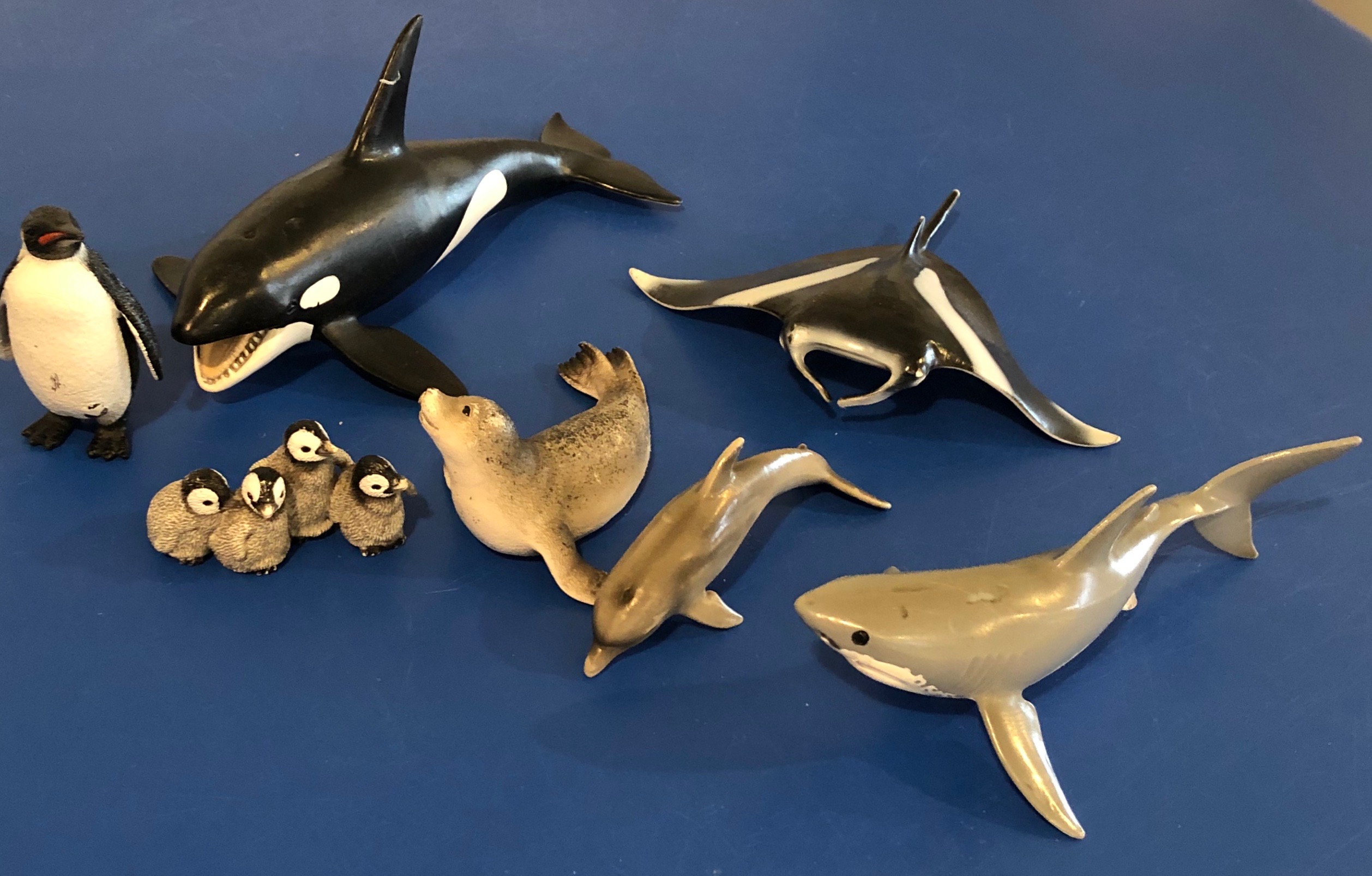 Schleich sales ocean animals